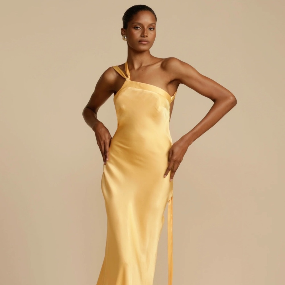 Arcina Ori Monique Dress, size small, worn once